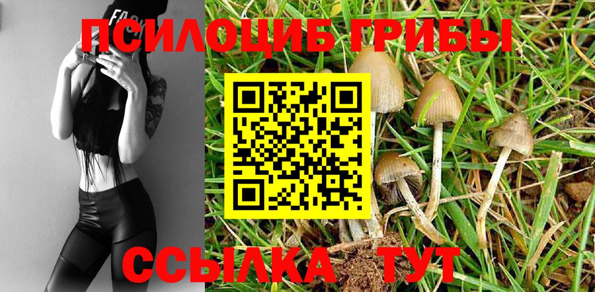 Галлюциногенные грибы мицелий Менделеевск