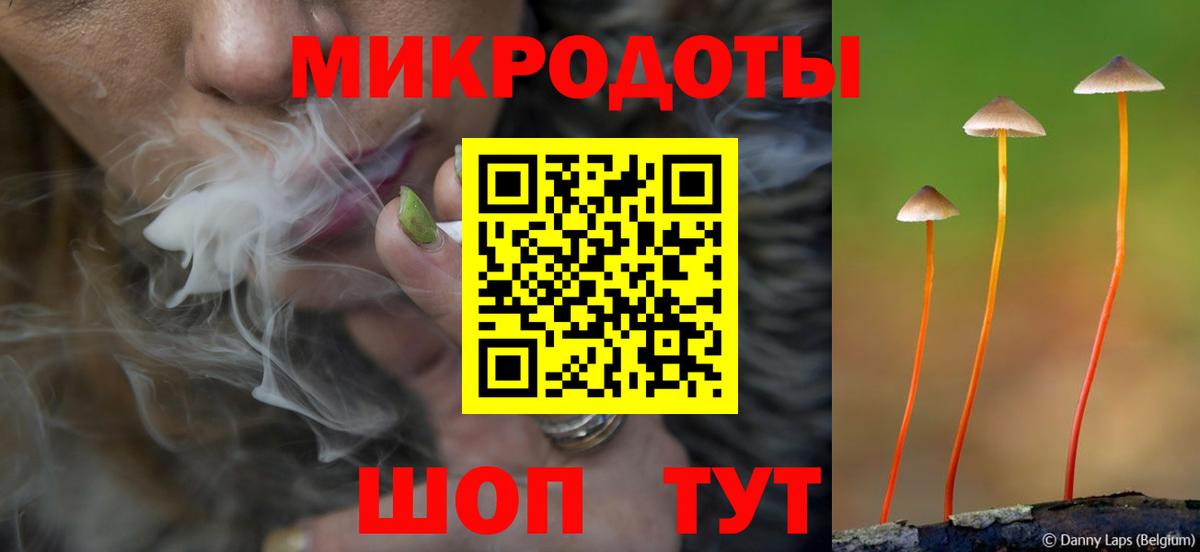 Псилоцибиновые грибы Cubensis  Вход с VPN  Менделеевск 